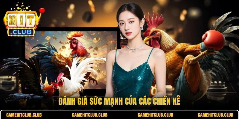 Đánh giá sức mạnh của các chiến kê
