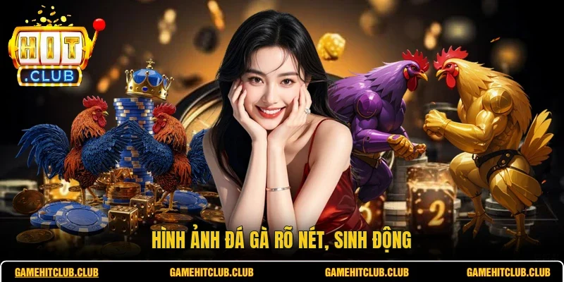 Hình ảnh đá gà rõ nét, sinh động