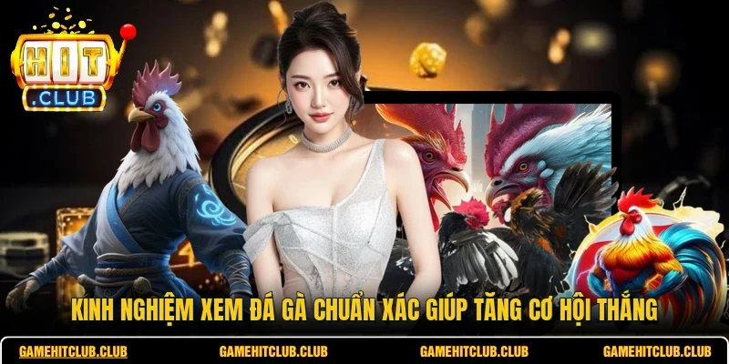 Kinh Nghiệm Xem Đá Gà Chuẩn Xác Giúp Tăng Cơ Hội Thắng