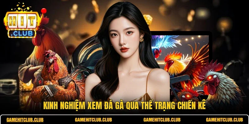 Kinh nghiệm xem đá gà qua thể trạng chiến kê