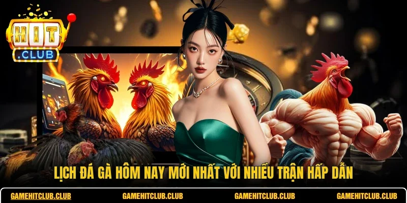 Lịch Đá Gà Hôm Nay Mới Nhất Với Nhiều Trận Hấp Dẫn