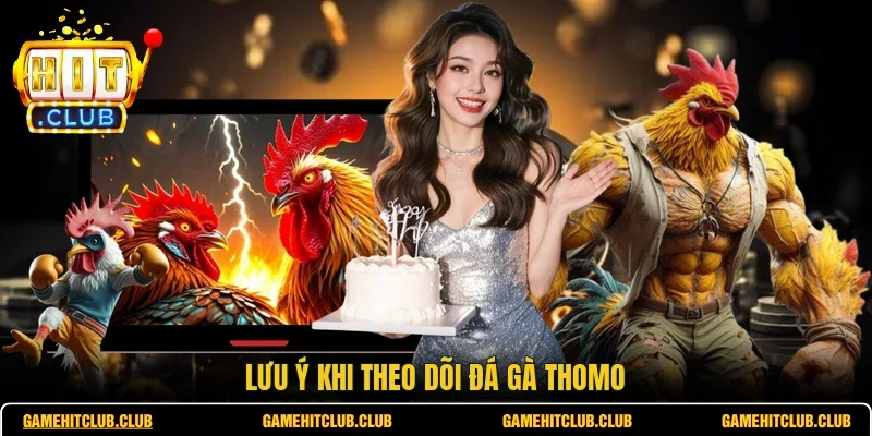 Lưu ý khi theo dõi đá gà Thomo