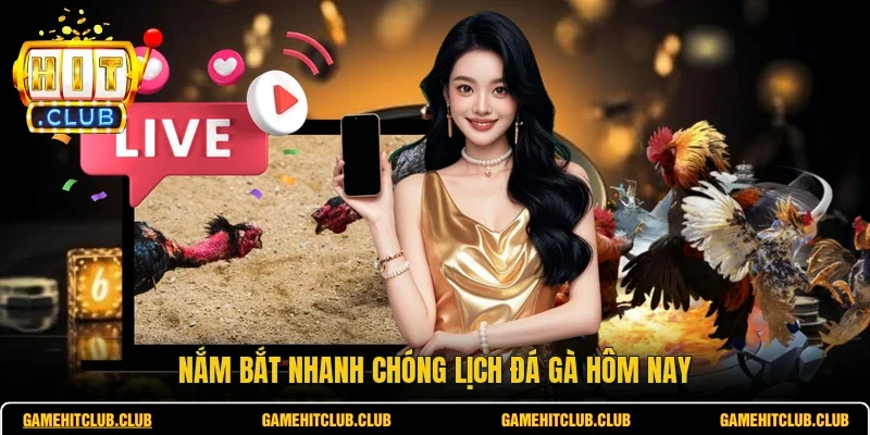 Nắm bắt nhanh chóng lịch đá gà hôm nay