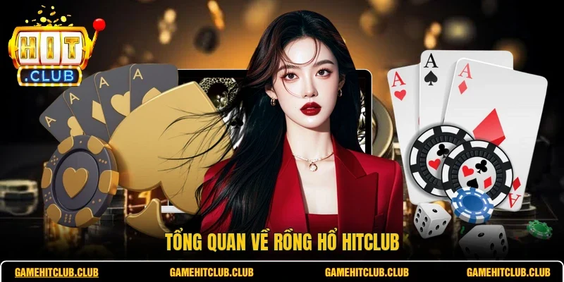 Tổng quan về Rồng Hổ HITCLUB