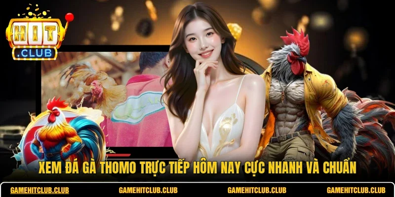 Xem Đá Gà Thomo Trực Tiếp Hôm Nay Cực Nhanh Và Chuẩn
